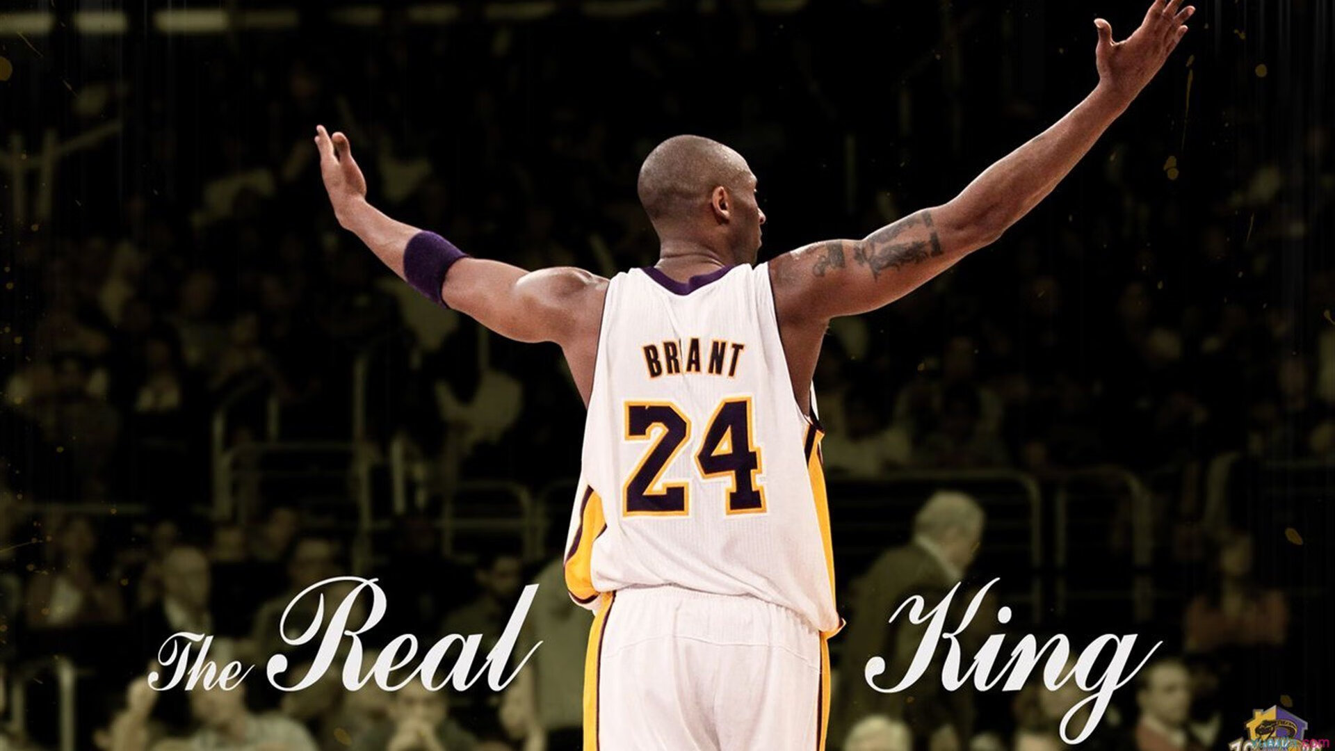 出发段水下推进长度决定优势区间,水下推进方式